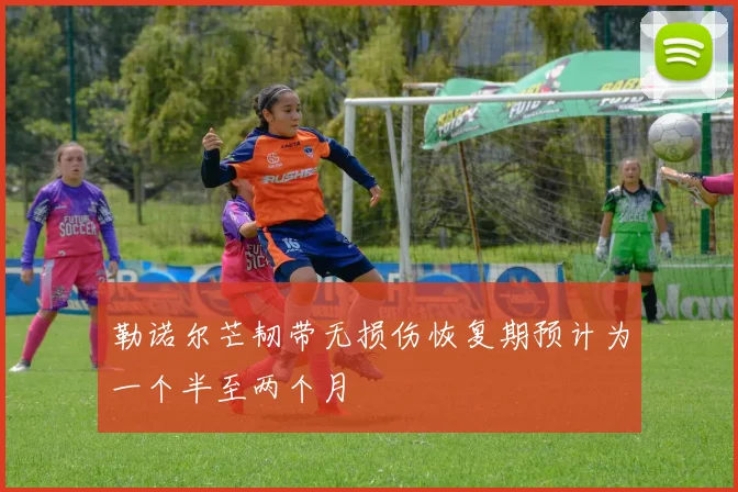 勒诺尔芒韧带无损伤恢复期预计为一个半至两个月