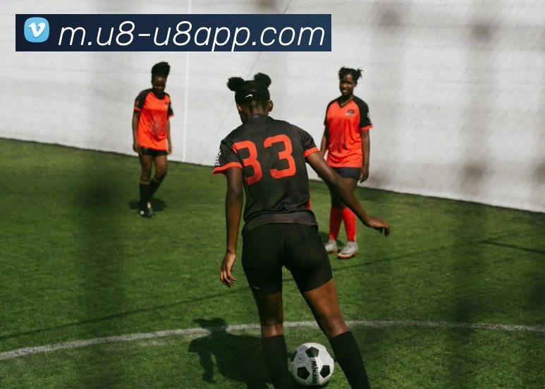 u8国际平台生态图